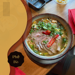 hanoi quan 246 x 246